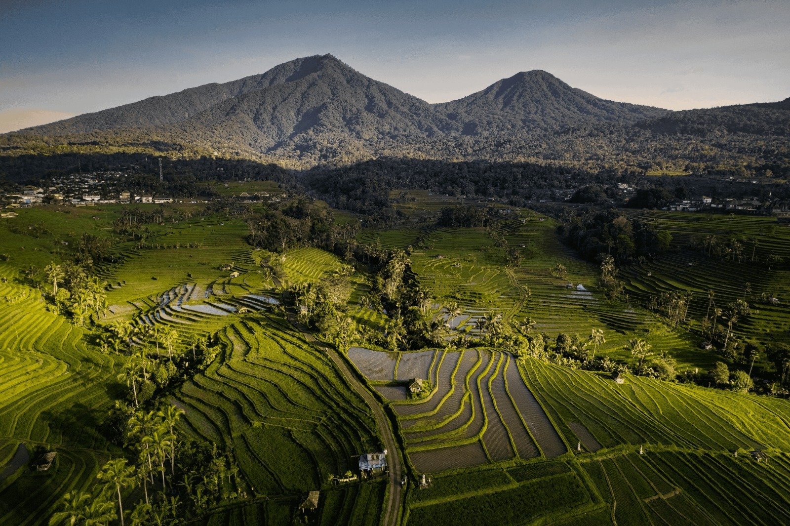 Bersepeda di Sawah Jatiluwih